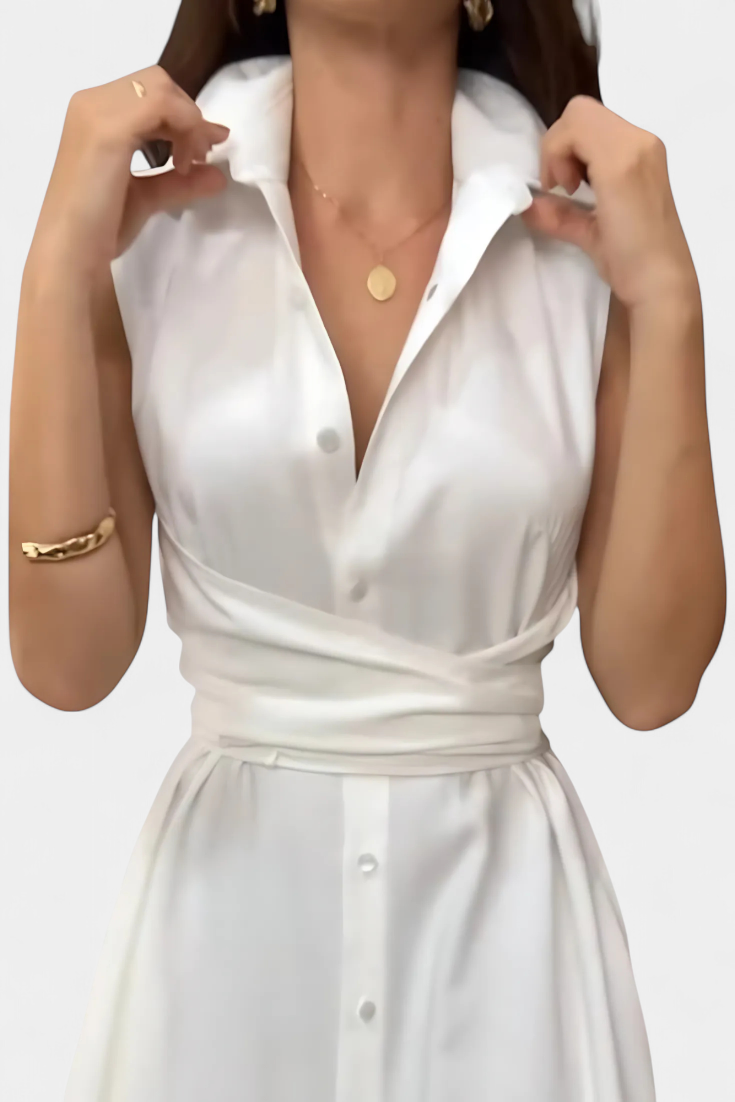 Meryl Button-Up Shirt Dress with Adjustable Bow