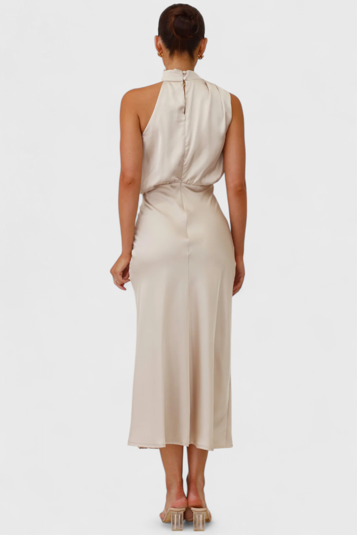 Rina Elegant Draped Halter Neck Dress