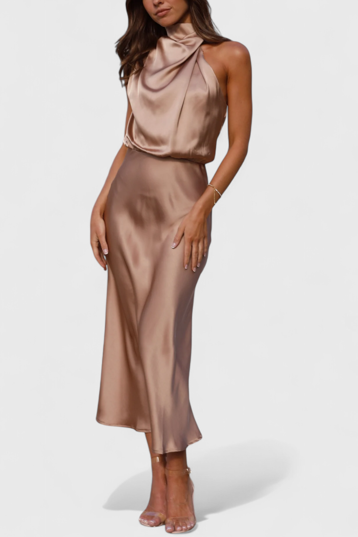 Rina Elegant Draped Halter Neck Dress